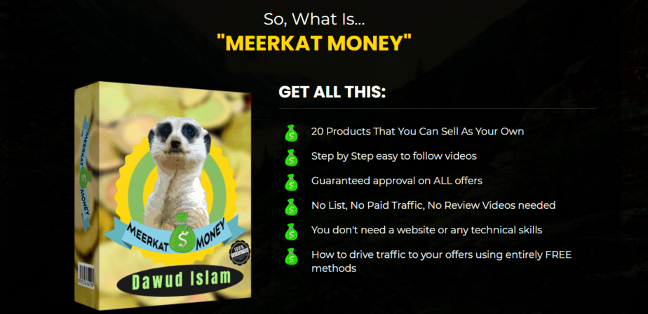 Meerkat money review heading