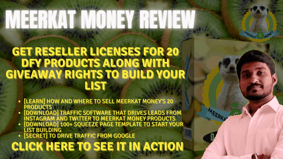 Meerkat Money Review